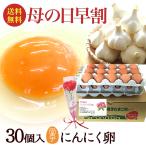 父の日 卵 高級 卵かけご飯 にんにく卵 30個入(生卵25個+破損保証5個) 黄色いバラ(造花)付 ギフト 甘く生臭さニンニク臭無し