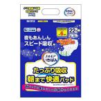 いちばん たっぷり吸収 朝まで快適パッド 22枚