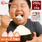 パックご飯 レトルトご飯 大盛 250g 2