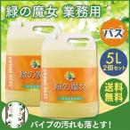 緑の魔女 業務用 洗剤 お風呂 風呂 バス 5L 2本セット パイプクリーナー 排水管掃除 ミマスクリーンケア まとめ買い 日用品