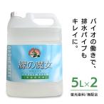 緑の魔女 洗濯洗剤 5L 2個セット ランドリー 業務用 弱アルカリ性 パイプクリーナー 節約 節水 エコ ドイツ洗剤 ミマスクリーンケア まとめ買い 日用品