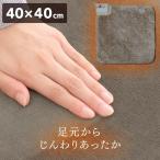 ホットカーペット 本体 電気カーペット 40×ミニマット ベージュ系 EC-K4000 TEKNOS (D)(B)
