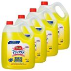 バスマジックリン 詰め替え 業務用 風呂 掃除 浴室 中性タイプ プロフェッショナル 4.5kg 4個セット 花王