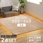 ホットカーペット 3畳 ラグ セット TEKNOS  200×240cm おしゃれ 節電 ダニ退治 折り畳み 温度調節 電気カーペット 電気マット 3畳用 テクノス HCMF-IR300