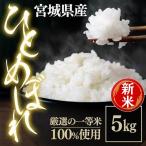 米 5kg お米 送料無料 