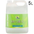 緑の魔女 食器洗剤 キッチン 洗剤 業務用 パイプクリーナー 調理器具 野菜 果物 弱アルカリ性 5L ミマスクリ−ン ドイツ 弱アルカリ まとめ買い 日用品