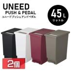 ゴミ箱 おしゃれ ふた付き 45L 2個セット ダストボックス 45リットル キッチン スリム ごみ箱 ペダル ユニード プッシュ＆ペダル トンボ 45S