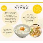 米 10kg ひとめぼれ お