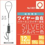 (メール便・送料無料) ピクチャーレール用 ”パワーミニワイヤー自在 NO1801” 50cm,70cm,100cm