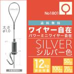 (メール便・送料無料)　ピクチャーレール用 ”パワーミニワイヤー自在 NO1801” 50cm,70cm,100cm