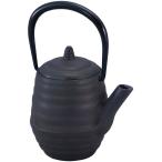 ショッピング南部鉄瓶 池永鉄瓶  tecco 急須 どんぐり 0.3L ステンレス製茶こし付 南部鉄器 日本製 おしゃれ 鉄分補給 茶道具