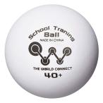 TWC Tiida brusi-bad0006 school тренировка мяч 40+100 лампочка входить 