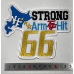 [ почтовая доставка соответствует возможно ]STRONG ArmHit66 вышивка нашивка 