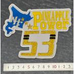 [ почтовая доставка соответствует возможно ]PINEAPPLE Power53 вышивка нашивка 