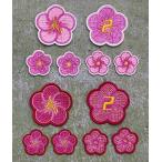 [ почтовая доставка соответствует возможно ] слива .2 вышивка нашивка 