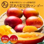 訳あり宮崎完熟マンゴー 約2kg 4〜6玉 マンゴー わけあり くだもの フルーツ 果物 ギフト 贈り物 家庭用 送料無料 見た目ちょいわる 味は絶品