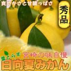 日向夏 みかん 11〜13玉入り 宮崎産 大玉 種少 産地直送 味は抜群 くだもの 果物 フルーツ 柑橘系 柑橘類 種無し 種なし 送料無料