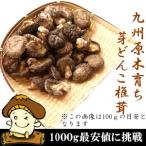 しいたけ 九州産 芽どんこ 1kg 原木栽培 椎茸 シイタケ きのこ 国産 無農薬 だし 出汁