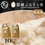 お米 ひのひかり 10kg 5kg×2 無洗米 都城ふるさと米 白米 令和7年産 九州 宮崎県 都城市産 ギフト 贈り物 送料無料