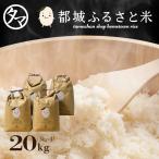 都城ふるさと米 20kg(精白米）令和7年産ひのひかり 九州 米 宮崎県都城市産 送料無料