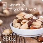 ブラジルナッツ 250g ナッツ 無着色 無香料 保存料 スーパーナッツ おやつ お菓子 おつまみ フィリピン産 スイーツ 送料無料