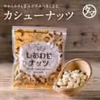 カシューナッツ 100g お試し ナッツ インド産 無塩 ロースト 素焼き スイーツ おやつ お菓子 ポイント消化