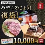 みやこのじょう！復袋 （精肉・加工品セット） 宮崎牛 都城 復興 訳あり 食品ロス 在庫処分 お取り寄せグルメ 福袋 牛肉 ふっこう フードロス 送料無料