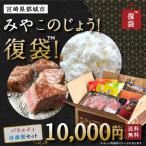 Yahoo! Yahoo!ショッピング(ヤフー ショッピング)みやこのじょう！復袋 （都城バラエティ冷凍セット） スイーツ 菓子 肉 都城 復興 訳あり 食品ロス 在庫処分 福袋 わけあり ふっこう お取り寄せグルメ 送料無料