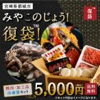 みやこのじょう！復袋 （精肉・加工品セット） 都城 復興 福袋 訳あり 食品ロス 在庫処分 お取り寄せグルメ フードロス ふっこう 復興福袋 送料無料