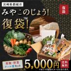 みやこのじょう！復袋 （米・野菜・果物のクール便（冷蔵）セット） 都城 復興 福袋 訳あり 食品ロス 在庫処分 お取り寄せグルメ フードロス ふっこう 送料無料