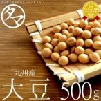 大豆 500g 九州産 ダイズ まめ 豆 大豆 だいず 国産 黄金地大豆 令和5年産 大豆レシチン イソフラボン 送料無料