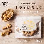 ドライいちじく 250g 新物入荷 オー