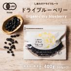 ドライブルーベリー 500g アメリカ産