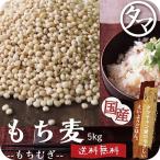 もち麦 国産 5kg 雑穀米 食物繊維 令和3年産 β-グルカン ダイエット ヘルシー 美容 健康 送料無料