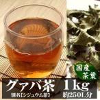 グァバ茶 シジュウム茶 1kg 宮崎産 