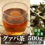 グァバ茶 シジュウム茶 500g 宮崎産 