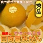 日向夏 みかん 11〜12玉入り 宮崎産 大玉 種少 産地直送 味は抜群 くだもの 果物 フルーツ 柑橘系 柑橘類 種無し 種なし 送料無料