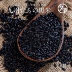 黒米 1kg 国産 雑穀米 減農薬 古代米 黒紫米 ポリフェノール アントシアニン 九州産 お米 250g×4袋 クロマイ 業務用 送料無料