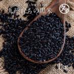 黒米 1kg (250g×4袋) 九州産 国産 雑穀 雑穀米 古代米 お米 クロマイ 減農薬 黒紫米 業務用 送料無料