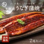 ショッピングうなぎ 国産 うなぎ 蒲焼 九州産 2尾セット 130〜150g 贈り物 ギフト 高級 ウナギ 鰻 秘伝タレ かば焼き お中元 食材 食品 グルメ 送料無料