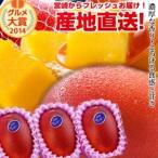 宮崎完熟マンゴー中玉 3玉 2025年度 フレッシュ 産地直送 くだもの 果物 フルーツ マンゴー 母の日 贈り物 お中元 ギフト 送料無料