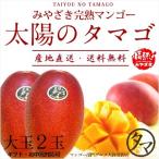 太陽のタマゴ 大玉2玉 2L 2025年度 宮崎 マンゴー フレッシュ 産地直送 母の日 贈り物 お中元 ギフト くだもの 果物 フルーツ 送料無料