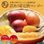 訳あり宮崎完熟マンゴー 900〜1000g詰め 2〜3玉 2022年 わけあり 完熟 マンゴー 産地直送 くだもの 果物 フルーツ 家庭用 送料無料