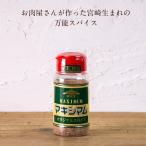 マキシマム 140g スパイス調味料 宮崎生まれ 魔法のスパイス ブレンド スパイス 調味料