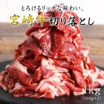 宮崎牛切り落とし 1kg(500g×2パック) #元気いただきますプロジェクト（和牛肉）食品 肉 牛肉 黒毛 和牛 国産牛 すき焼き 送料無料