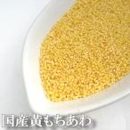 黄もちあわ 1kg 250g×4袋 小分け 国産 もちあわ もち粟 雑穀 雑穀米 送料無料