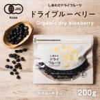 ドライブルーベリー 250g アメリカ産