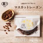 ドライ サンマスカットレーズン 5kg オーストラリア産 ドライ フルーツ レーズン オーガニック 有機 JAS 業務用 送料無料