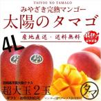 太陽のタマゴ 超特大玉2玉 4L 2025年度 宮崎 マンゴー フレッシュ 産地直送 母の日 贈り物 お中元 ギフト くだもの 果物 フルーツ 送料無料