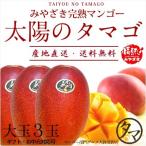 太陽のタマゴ 大玉3玉 2L 2025年度 宮崎 マンゴー フレッシュ 産地直送 母の日 贈り物 お中元 ギフト 果物 くだもの フルーツ 送料無料